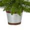 2ft. Pre-Lit Providence Pine Artificial Christmas Tree, Warm White Lights
